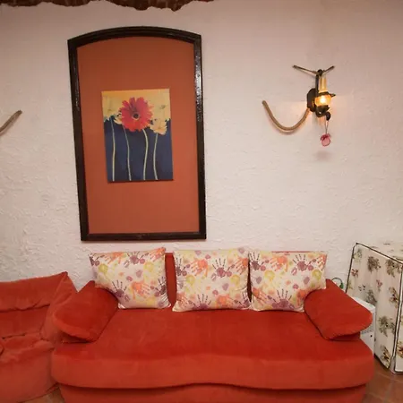Apartamento Rustic Centrul Istoric Braşov Exterior foto